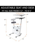 Exercise Bike Desk