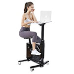 Exercise Bike Desk